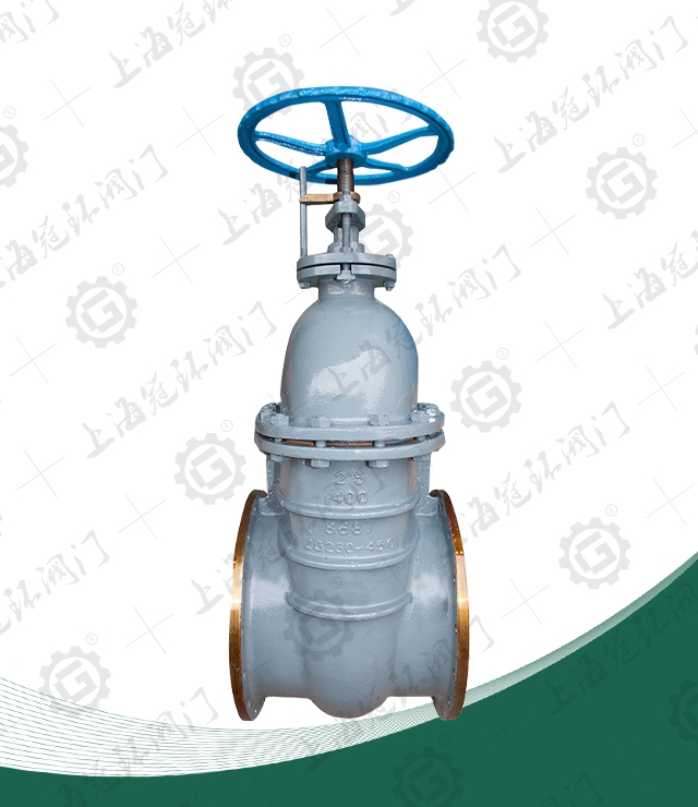 Marine Flanged Cast Iron Gate Valve