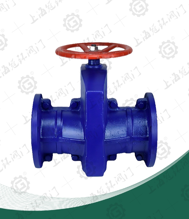 Cast iron pipe clamp valve