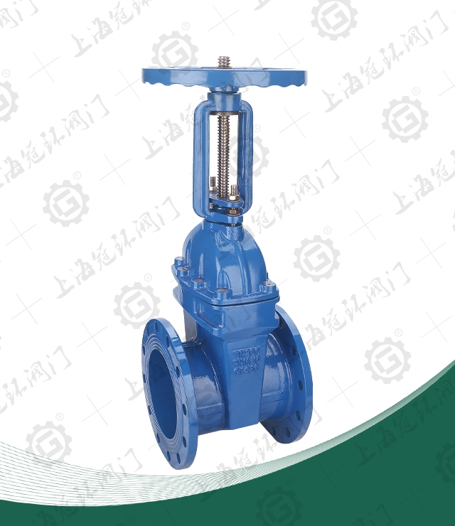 Soft seal rising stem gate valve