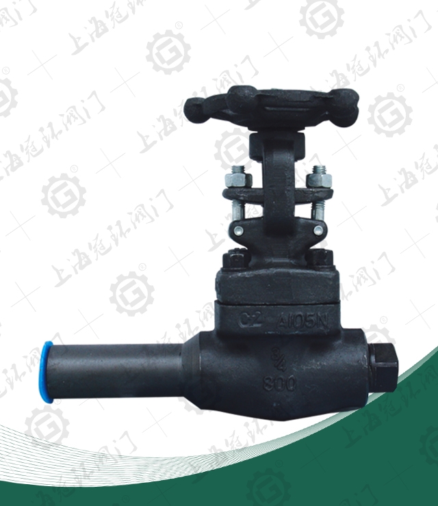 Forged steel extension body gate valve