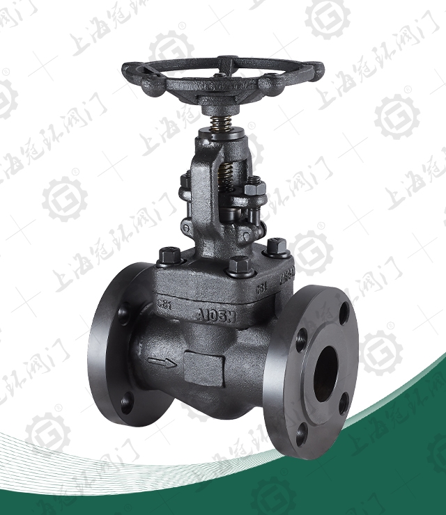 CNS Forged Steel Flange Globe Valve